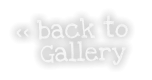 << back to     Gallery