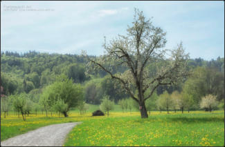 (Abbild ca. 15% Grösse des Originals)